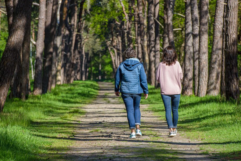herstelgerichte dienstverlening bij letselschade en verzuimreductie