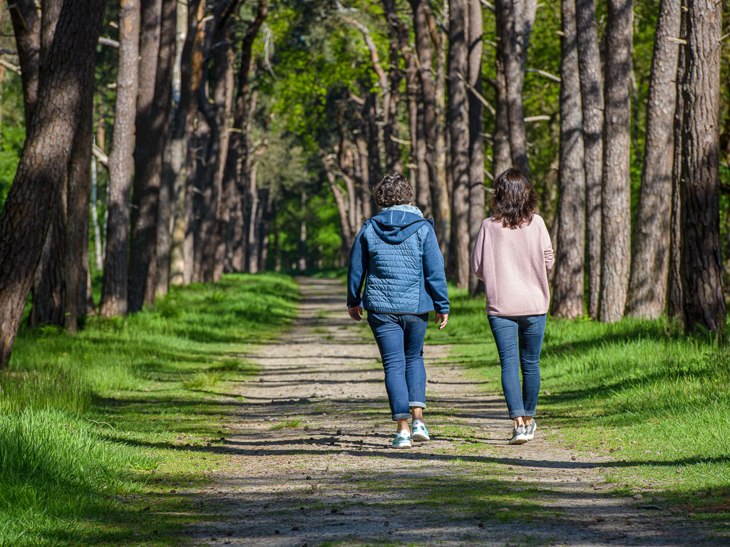 herstelgerichte dienstverlening bij letselschade en verzuimreductie